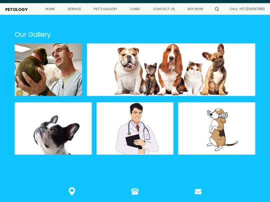 pet screenshot
