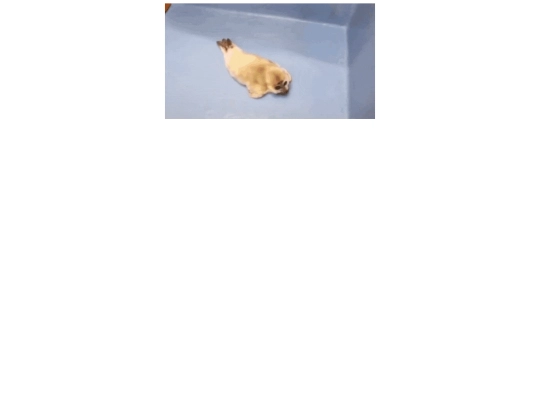 missle screenshot