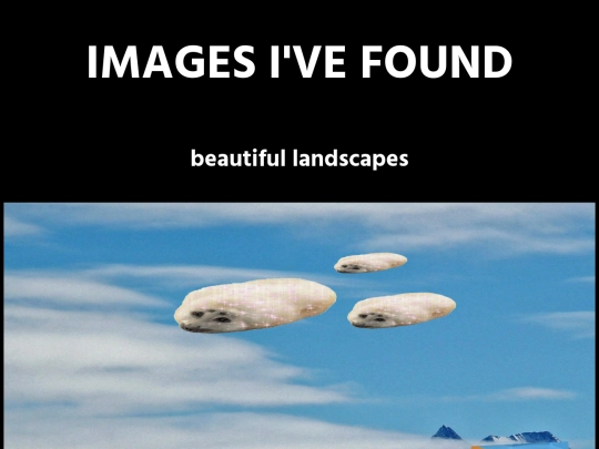 schoolproject/imagesivefound screenshot