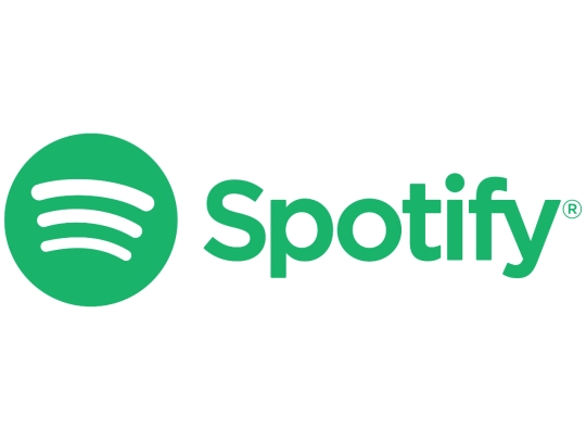 spotifysurvey screenshot