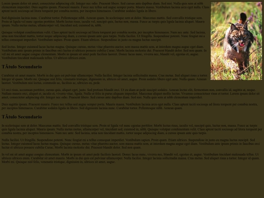Ejercicio 4B screenshot