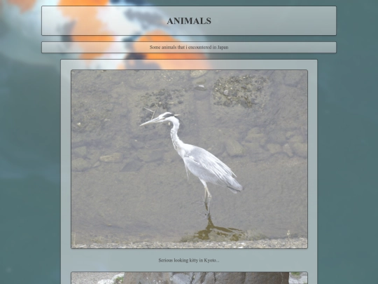 photos/animals screenshot
