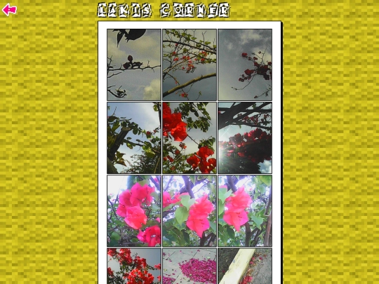 photography/flowers screenshot