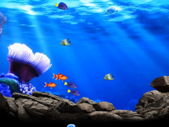 Aquarium/Aquariumm screenshot