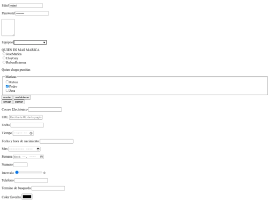 formulario screenshot