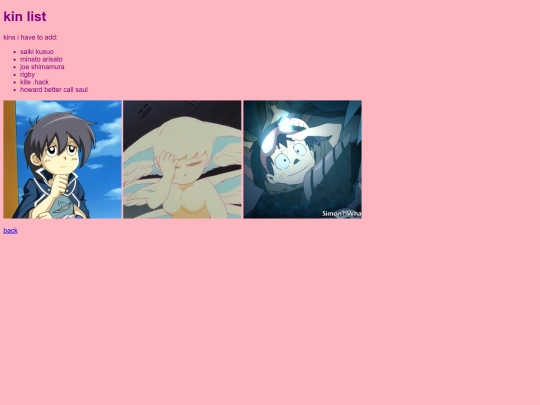 kins screenshot