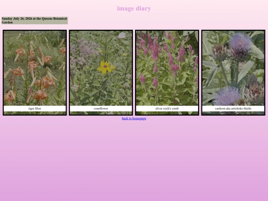 images screenshot