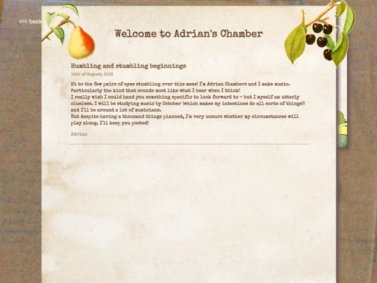 adrianschamber screenshot