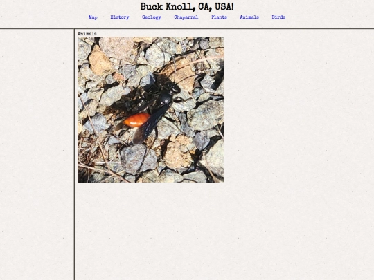animals screenshot