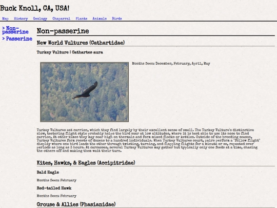 birds screenshot