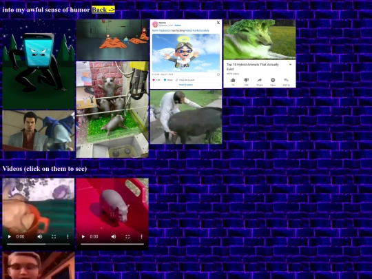 memes screenshot