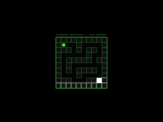 practice lab/labyrinth screenshot