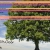 OpenDoor.neocities.com avatar