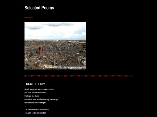 poetry screenshot