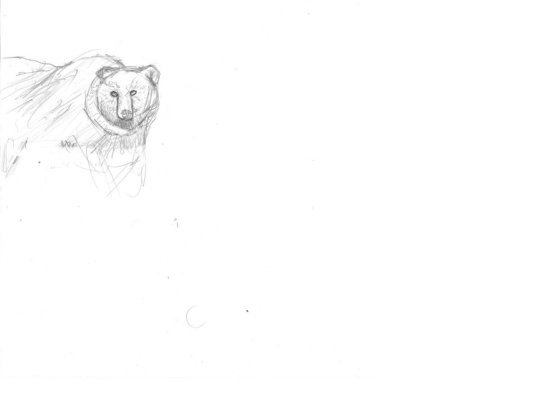 ravsthesunbear screenshot