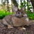 mimimibani.yorniq.xyz avatar