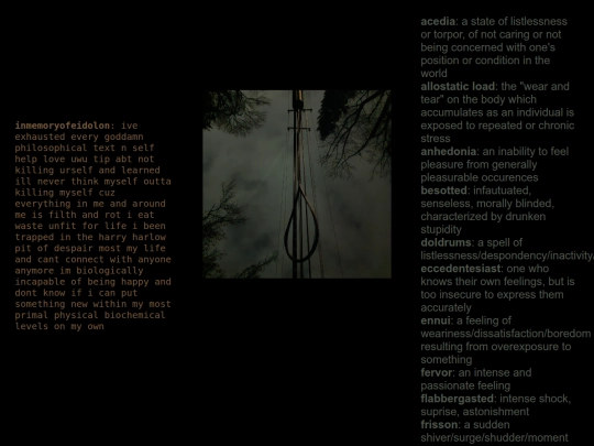 noose screenshot