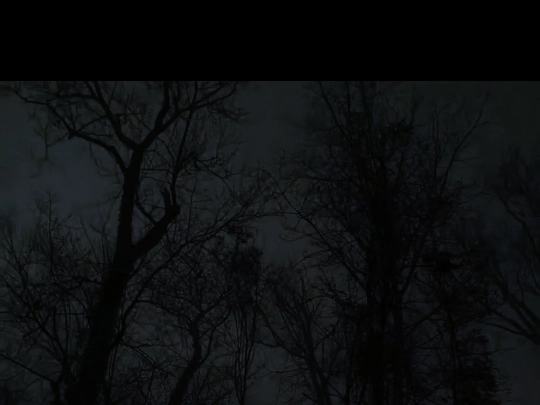 shadowlands screenshot