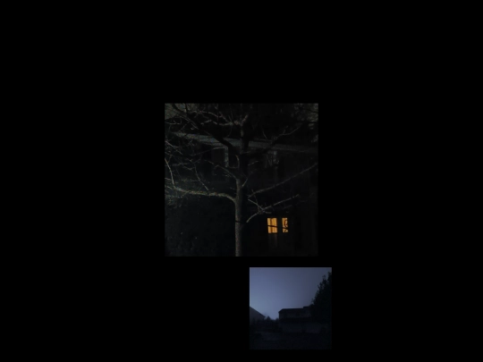 taking-tree screenshot