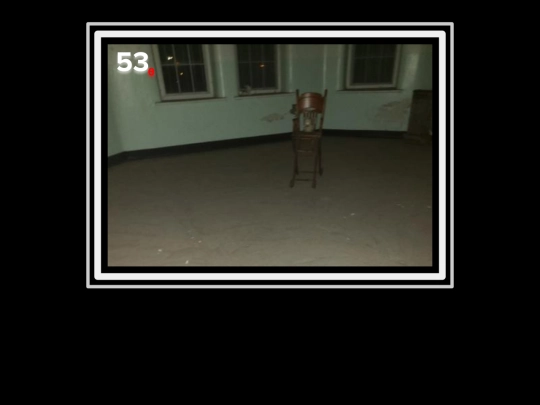 zygapophysis/ladderofwords/repentance/chine screenshot