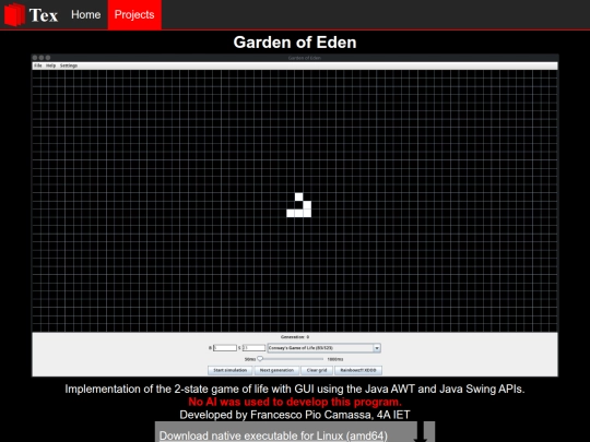 projects screenshot