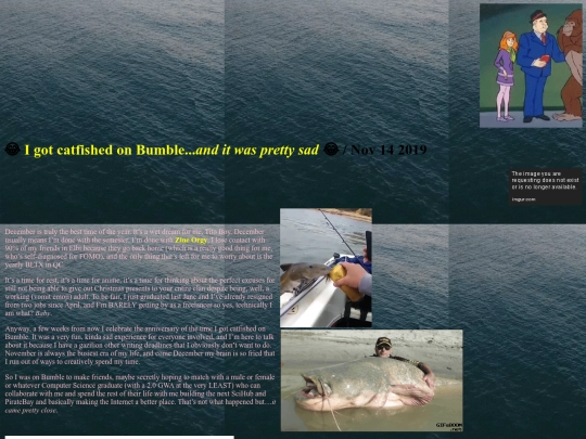 blog/catfish screenshot