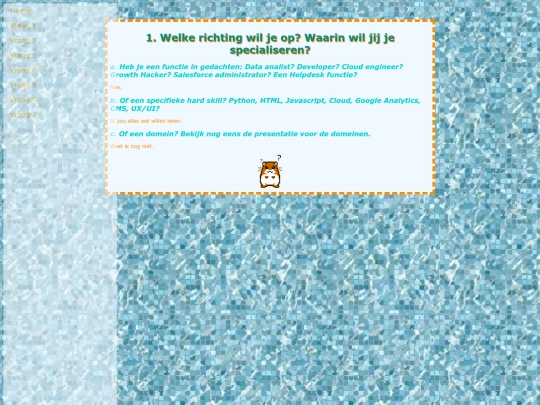 vraag1 screenshot
