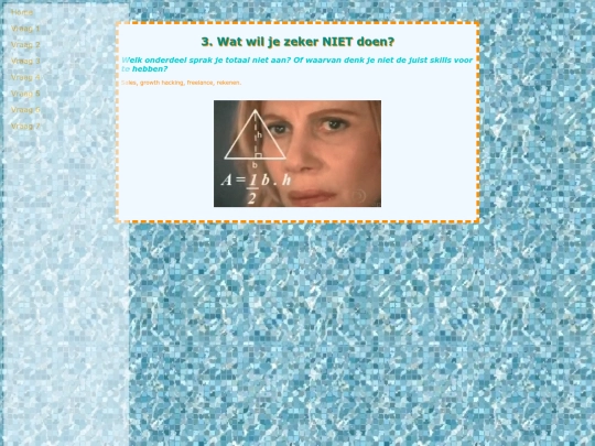 vraag3 screenshot