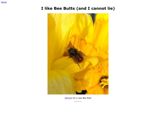 bee_butts screenshot