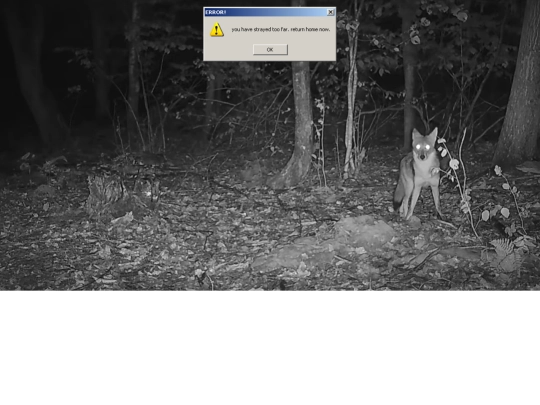 1 screenshot