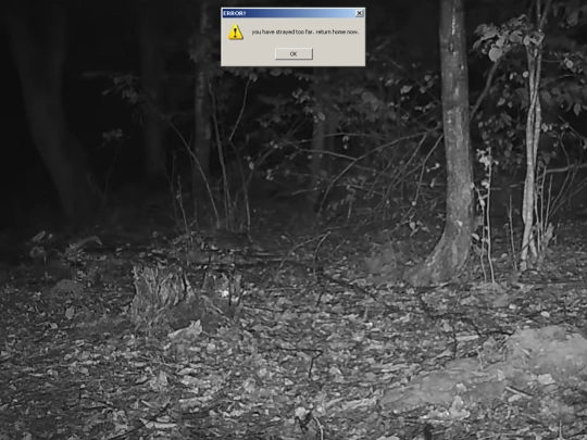 assets/buttons/identity/trans screenshot
