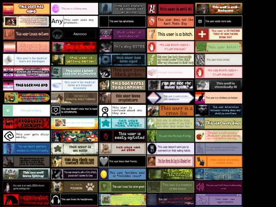 iframes/collections/userboxes screenshot