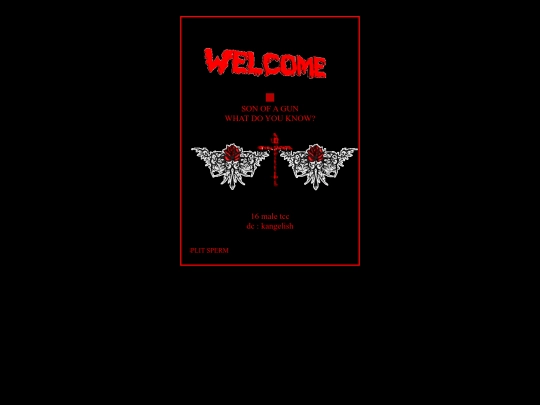 newfile screenshot