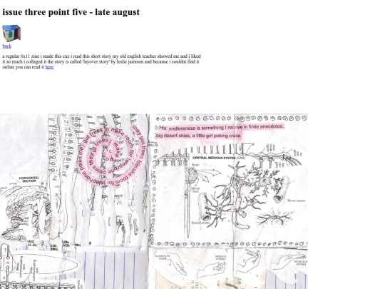 issue35 screenshot