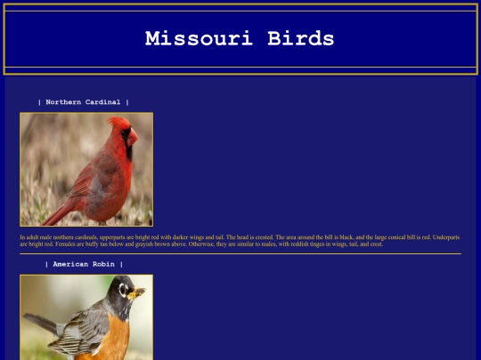 Birds/Birds screenshot