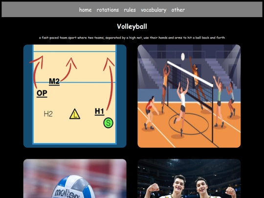 volleyball/volleyball screenshot