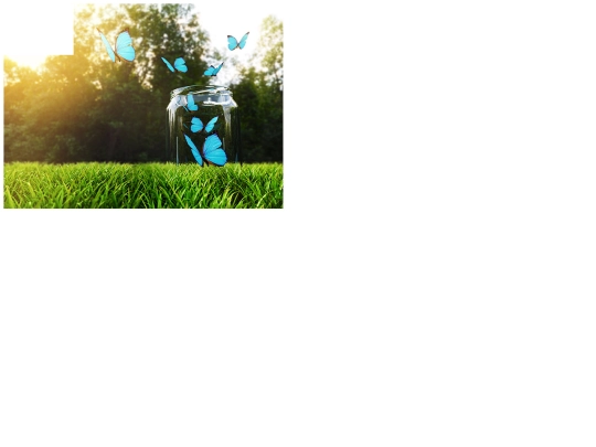 flexibleBoxLayoutPuzzleAsignment screenshot