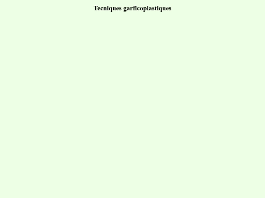 asignatures/tecniques screenshot