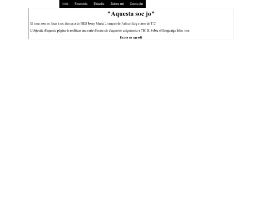 menucss screenshot