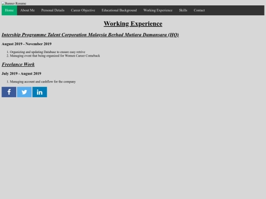Working Experience screenshot