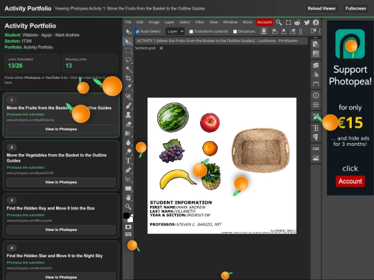 Online Activity Portfolio screenshot