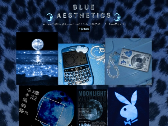 BlueAestheticsGIFS screenshot