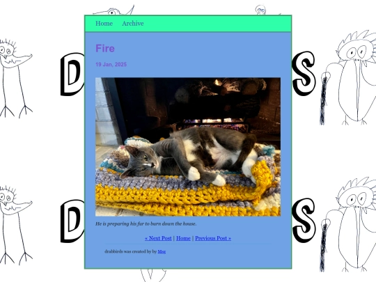 posts/2025-01-19-Fire screenshot