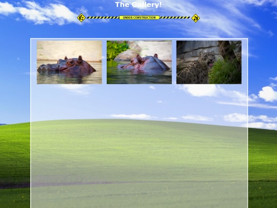 gallery screenshot