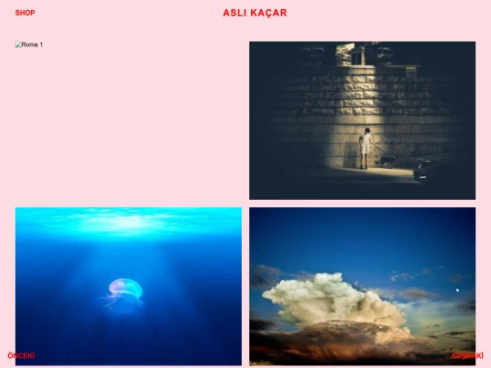 sayfalar/rome screenshot