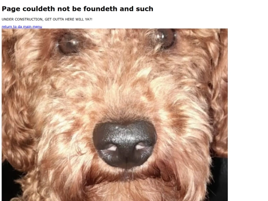 not_found screenshot