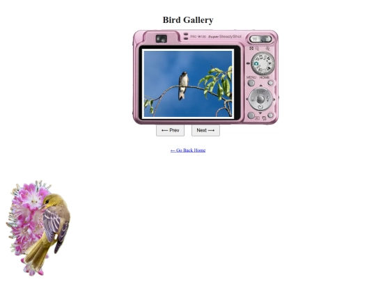 birdgallery screenshot