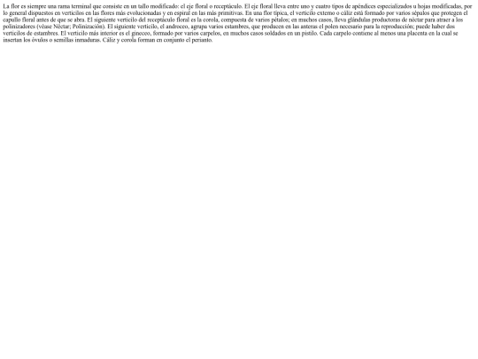 la flor screenshot