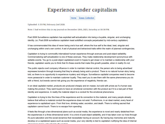 Essay Entries/experience screenshot