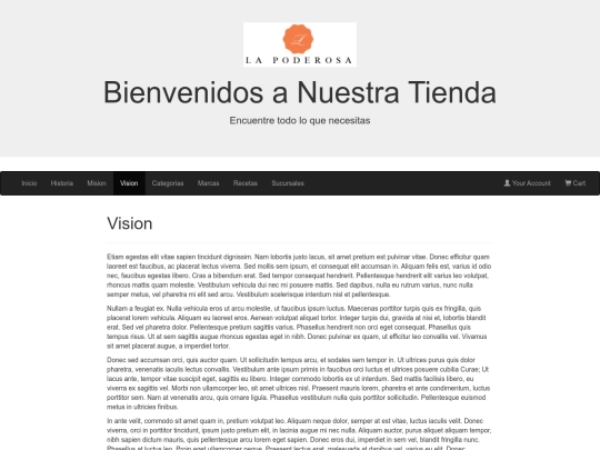 BootsTrap/PAGINAS/Vision screenshot